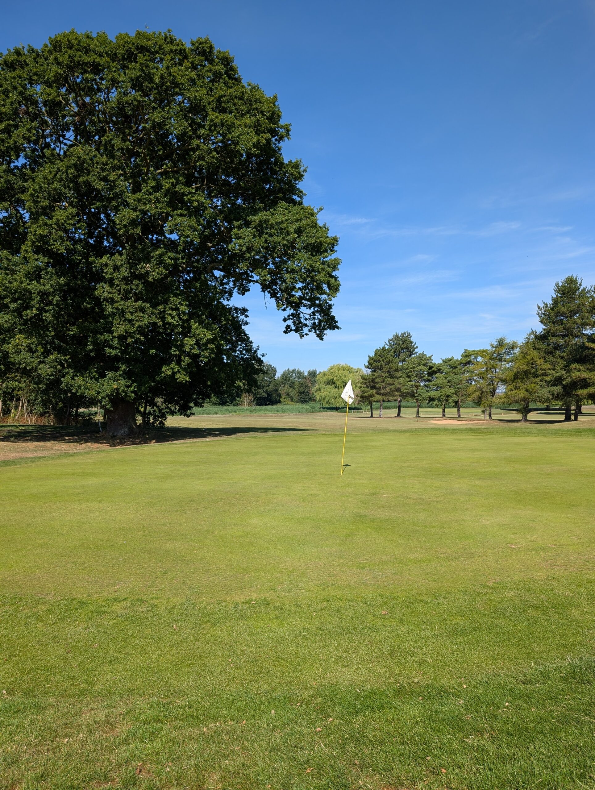 Golf pxl 20250710 090411500.mp